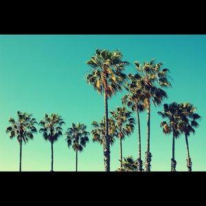 Meet your Posher, Jack